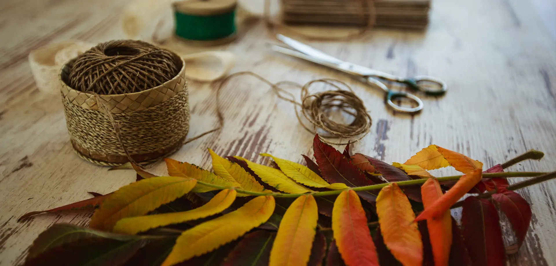 Mindful Well Creations