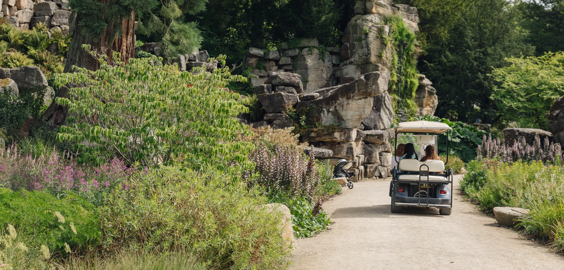 Personal House and Garden Tour