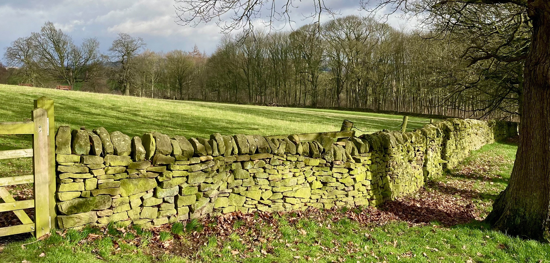Dry stone walling for beginners