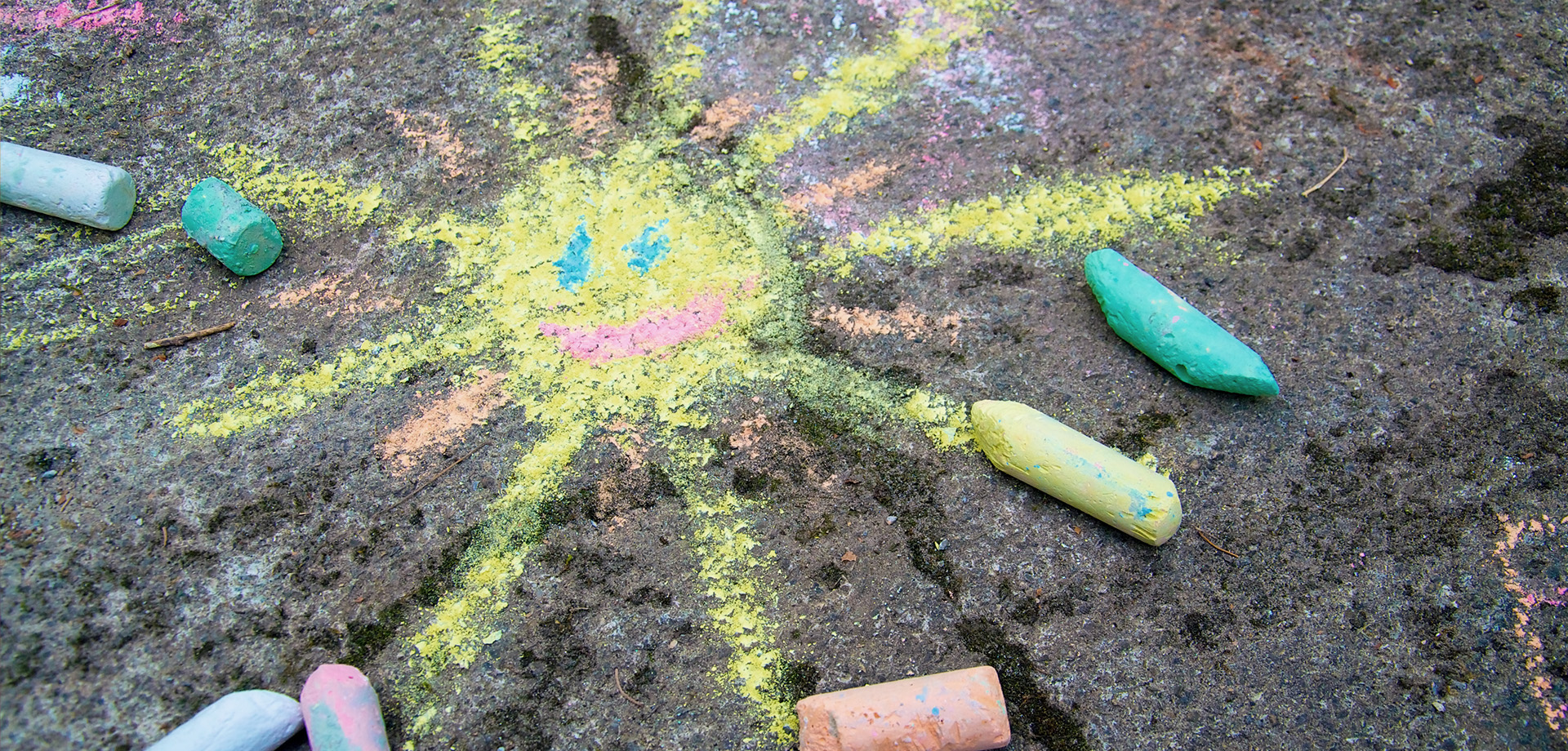 Summer in the Farmyard
