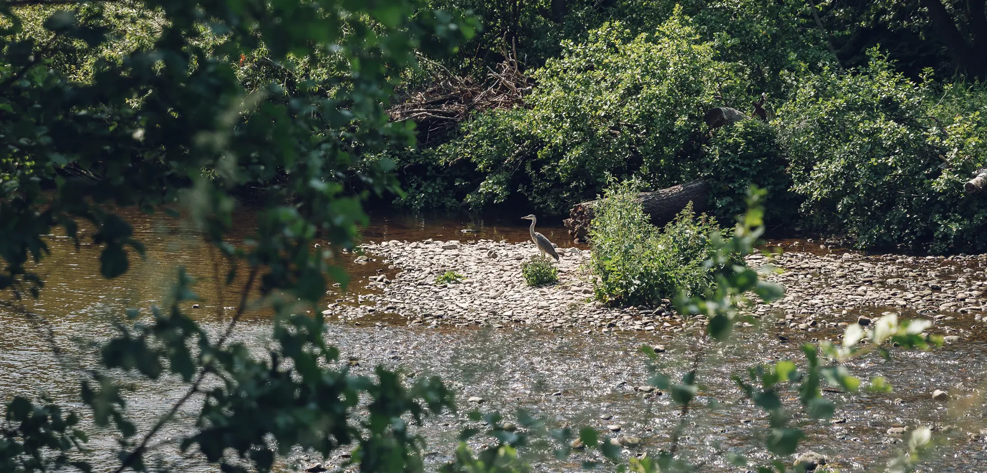 Bird Sighting Project at Peak Village