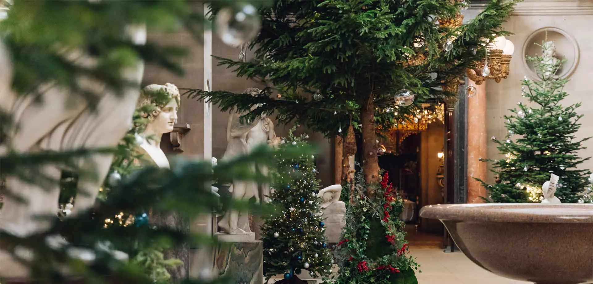 Your Christmas visit