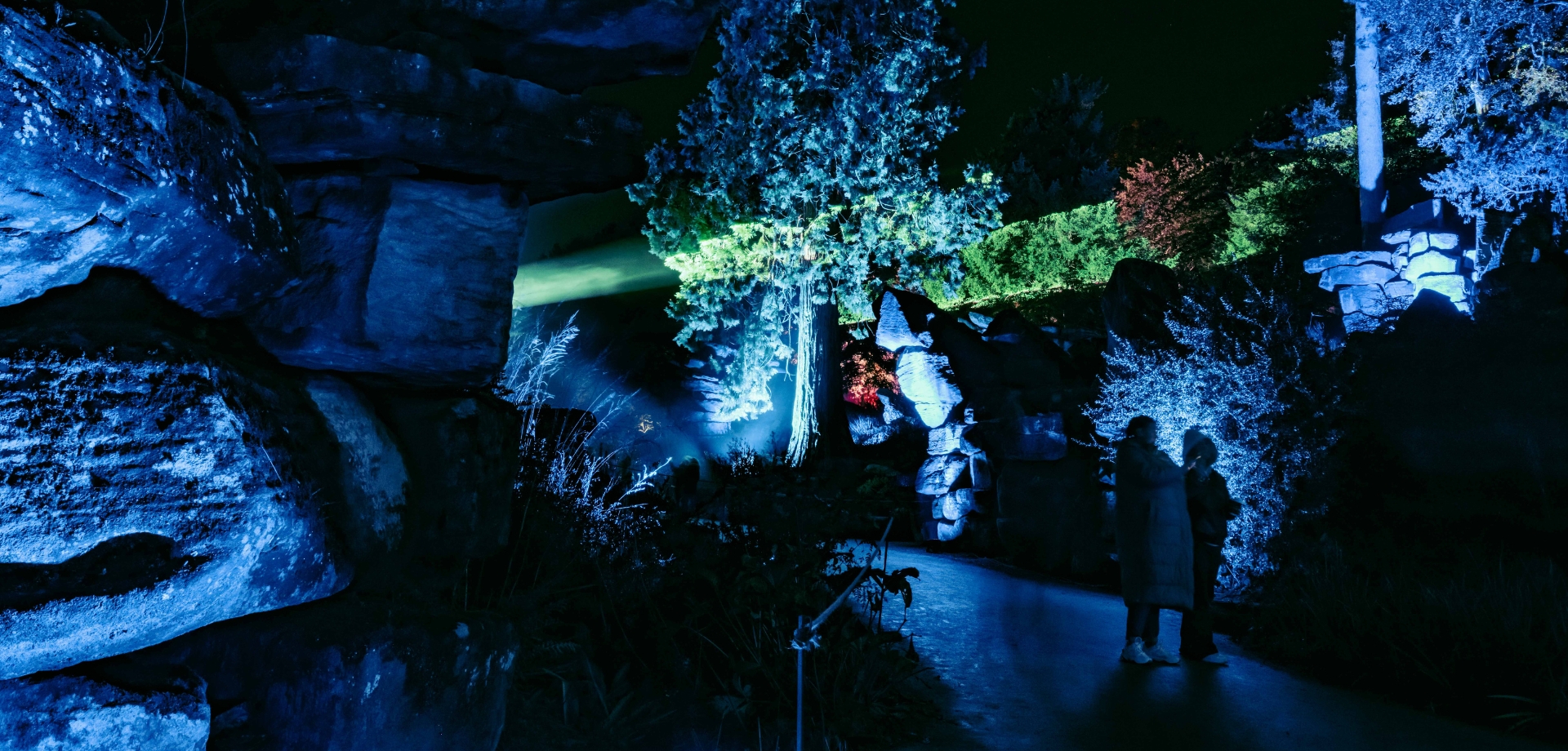 Christmas in the Garden