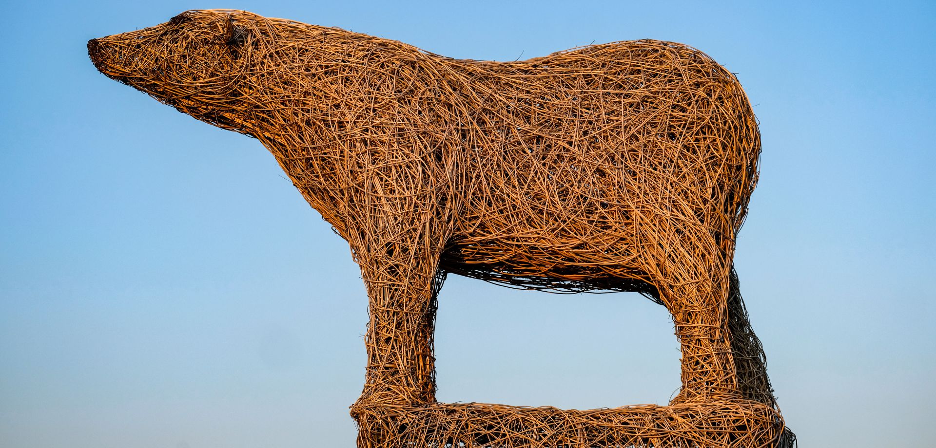 Stag willow weaving