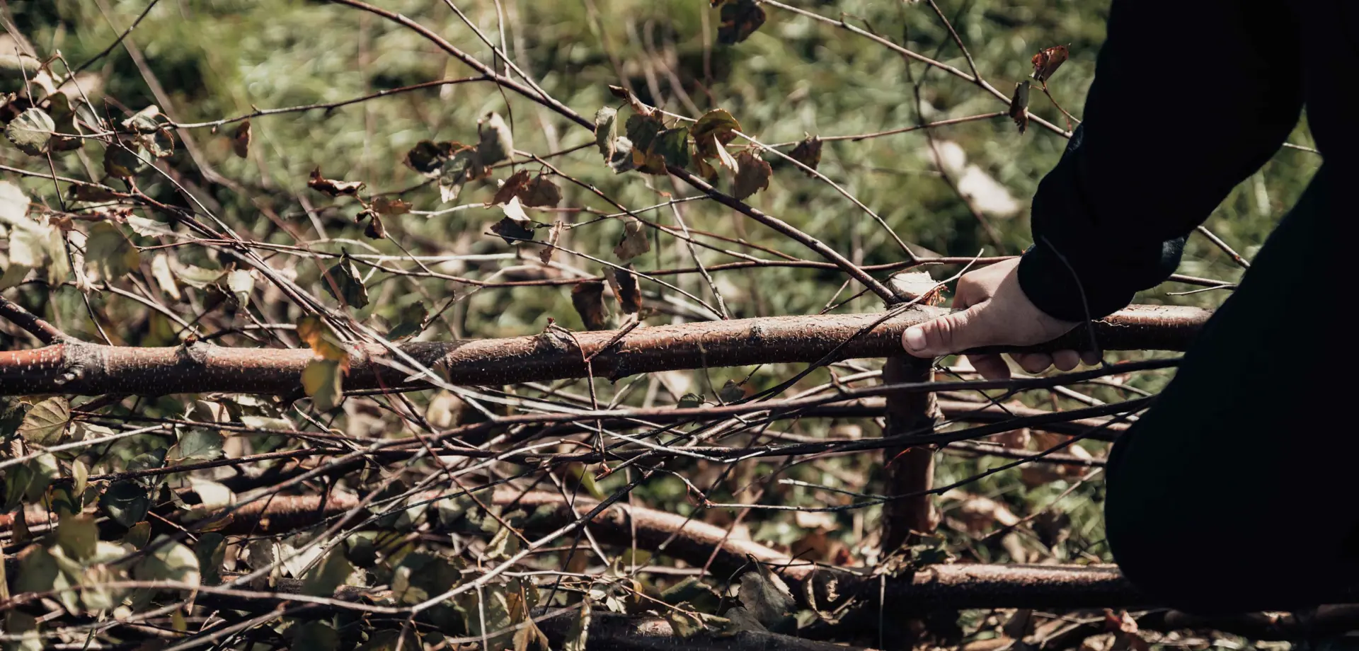 Dead Hedging Workshop 