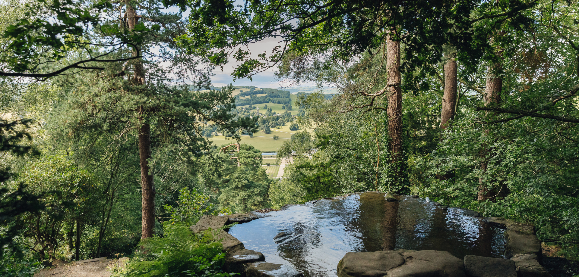 Mindful Waterways Walk – Stand Wood 