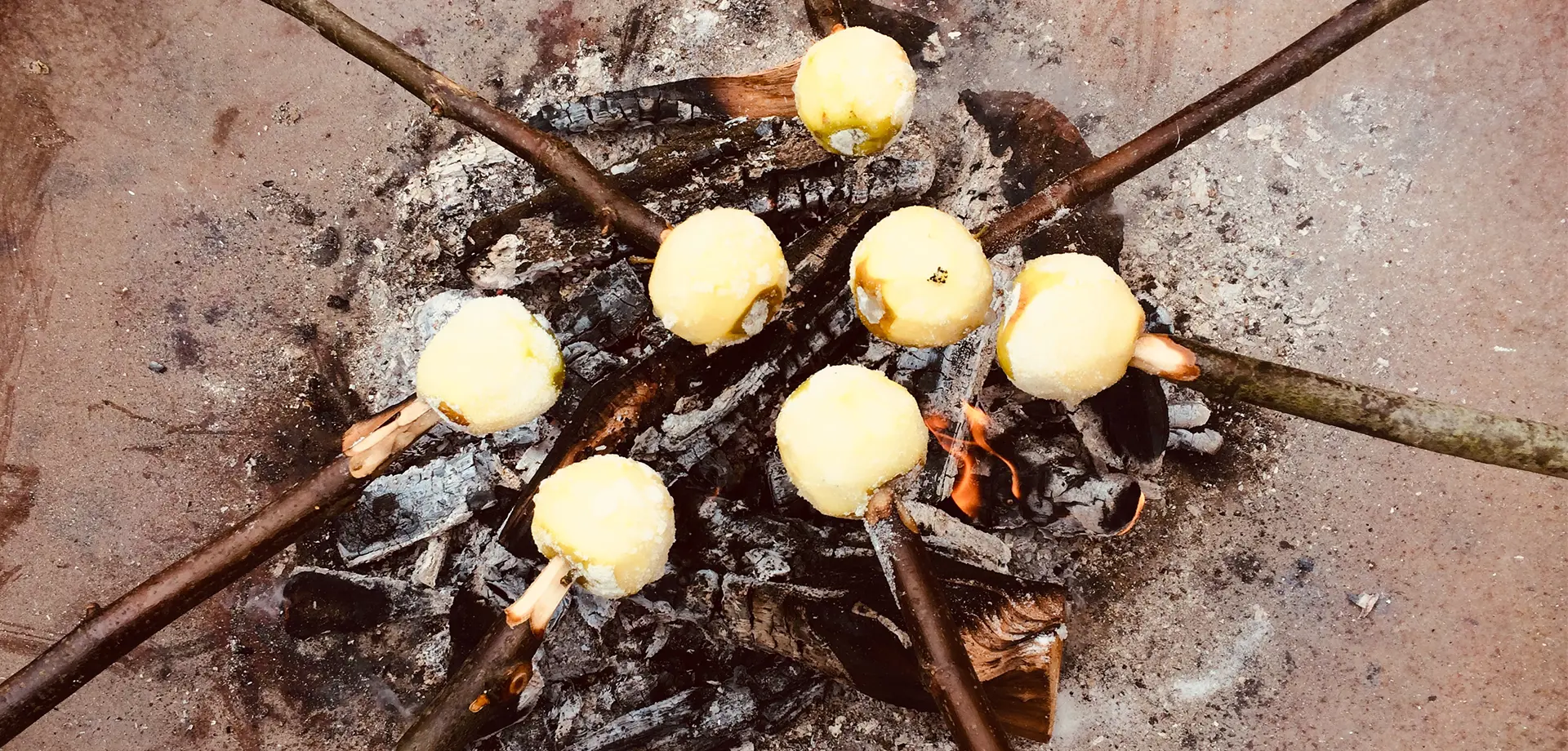 Firepit cooking