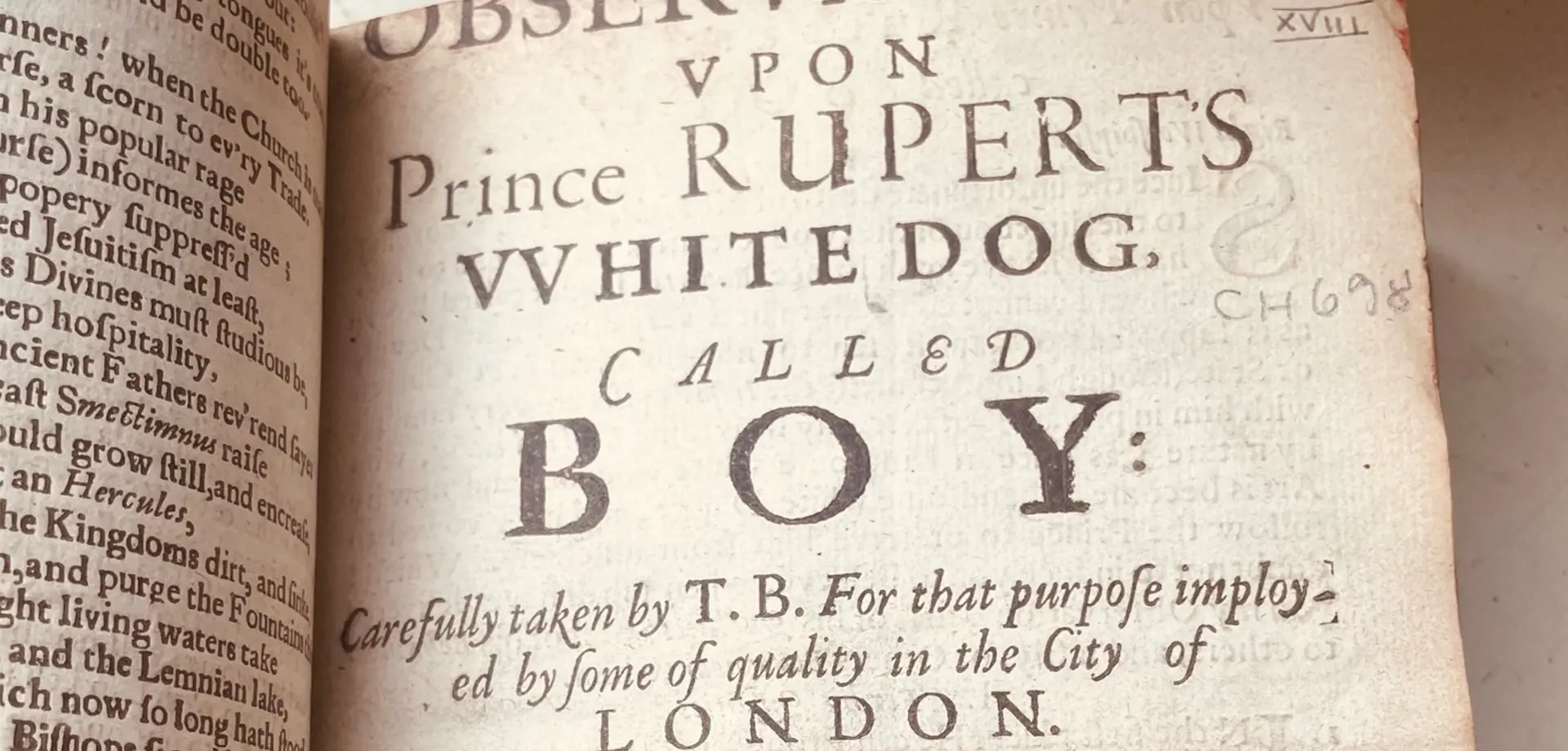 Prince Rupert’s White Dog Called Boy