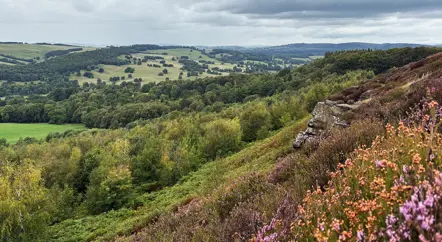 Shaping the future of Chatsworth’s moorland