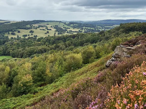 Shaping the future of Chatsworth’s moorland