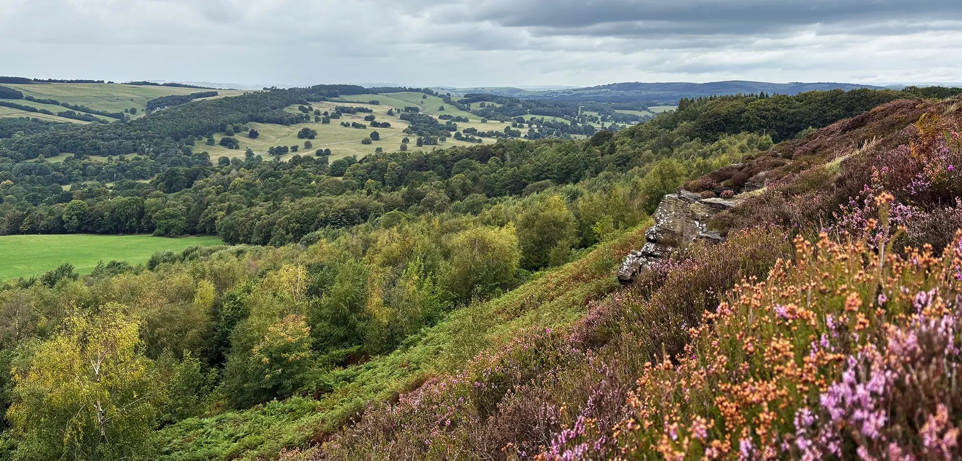 Shaping the future of Chatsworth’s moorland