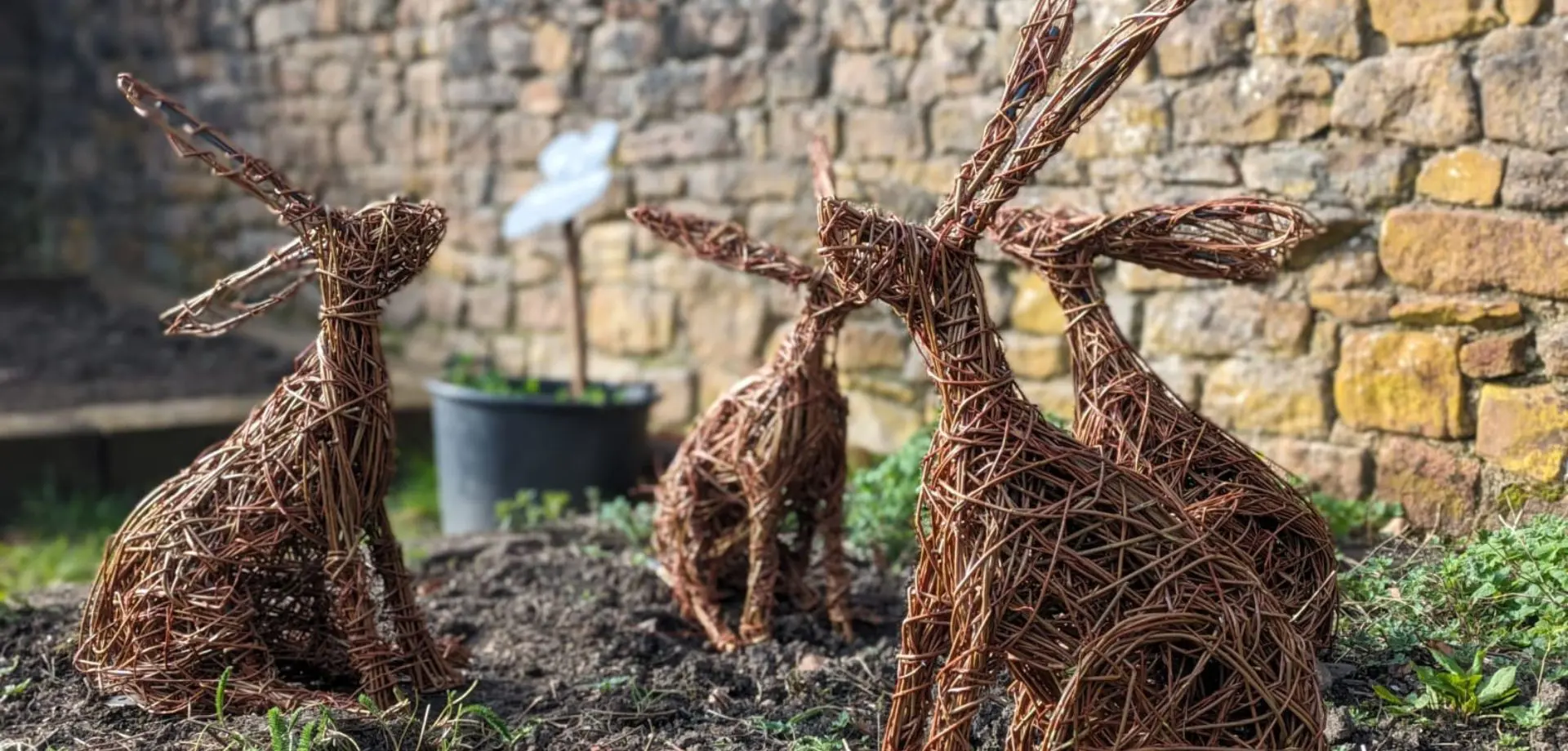 Moongazing Hares Willow Weaving Masterclass